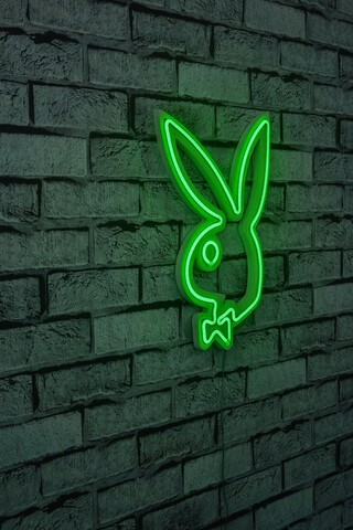 Decoratiune luminoasa LED, Playboy, Benzi flexibile de neon, DC 12 V, Verde