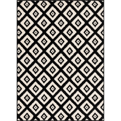 Covor negru-alb 160x220 cm Avanti – FD