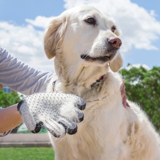 Manusa pentru ingrijirea animalelor de companie InnovaGoods Brush &amp; Massage, silicon