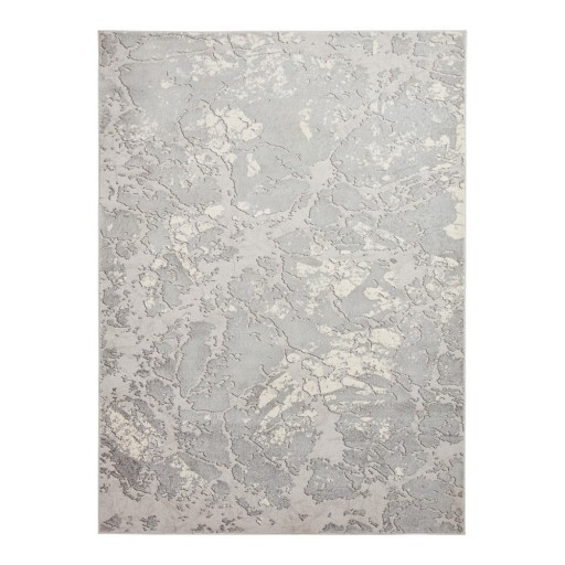 Covor gri deschis/crem 80x150 cm Apollo – Think Rugs